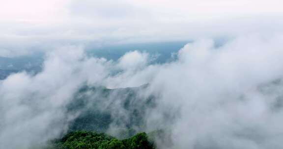 广西山区竹林竹海竹山云海翻滚航拍