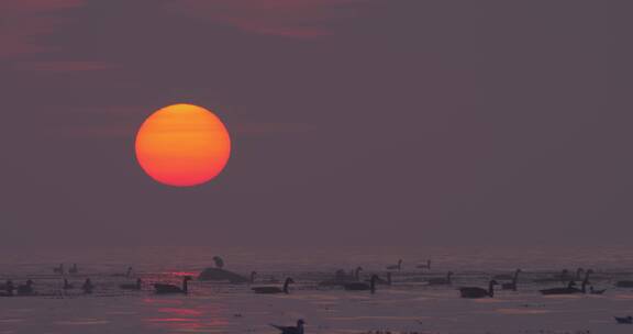 海滩上美丽的日落海边霞光海边日落海边