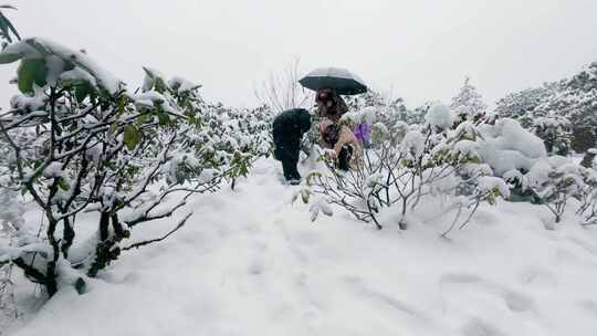 一家人在高山上的雪中互动玩耍的场景