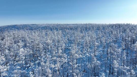 大兴安岭雪景冬季自然风光雾凇雪景寒冬美景