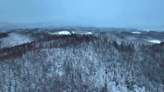 航拍东北下暴雪林海雪原威虎山