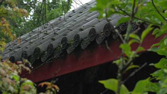 重庆雨季下雨屋檐实拍