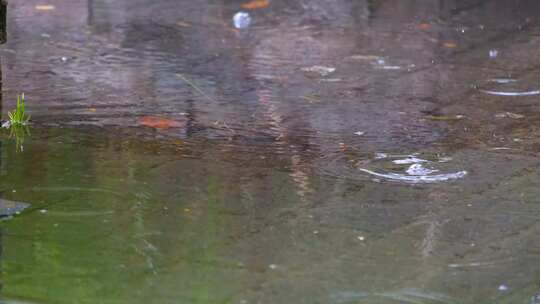 城市马路道路下雨天雨水雨滴大自然风景风光