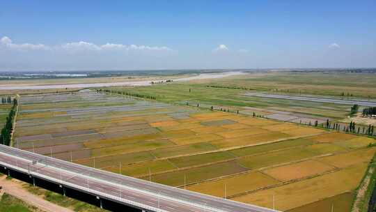 道路交通农业-黄河大桥与稻田灌溉