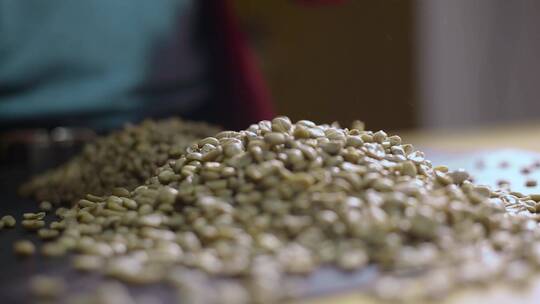 咖啡视频咖啡生豆手工挑拣手工筛选过程