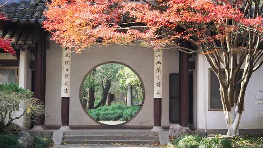 秋天西湖风景区曲院风荷景点内古典建筑