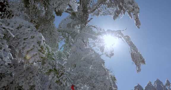 高清实拍瓦屋山冬天雪景雪山森林