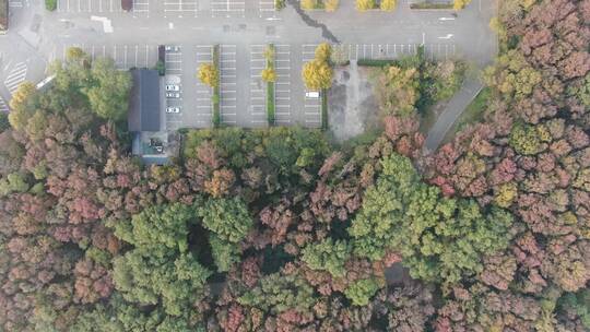 南京中山陵5A景区航拍