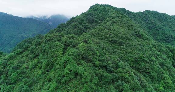 航拍峨眉山后山风景夏天青山美丽