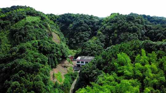 衡阳花果山