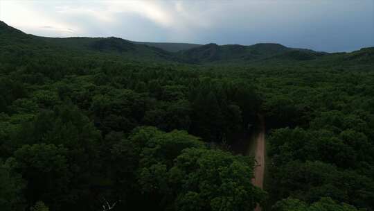 森林山地鸟瞰全景