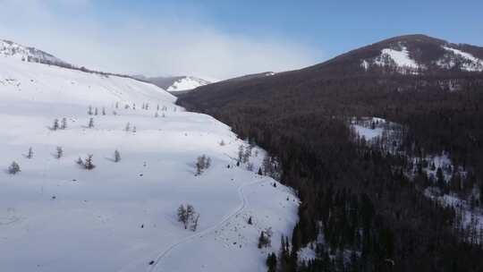 航拍新疆冬季喀纳斯湖雪景雪山森林冰河晨雾