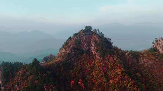 秋季森林自然风景实拍