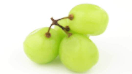 绿提子微距特写素材