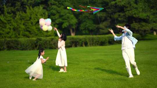 公园玩耍 风筝 放风筝
