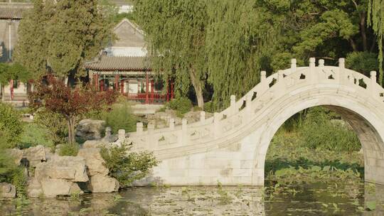 莲花池石拱桥