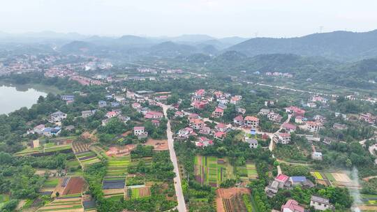 航拍湖南浏阳柏加苗木生产种植基地合集2