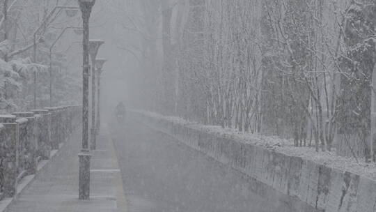 冬天雪景 下雪空镜