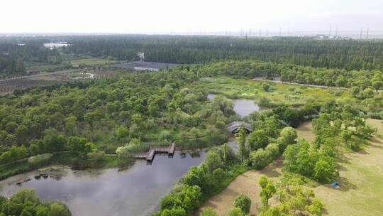 上海崇明区长兴岛郊野公园4K航拍