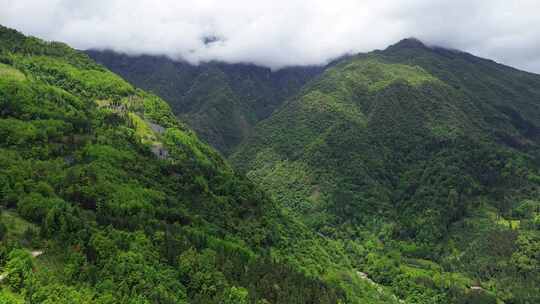 四川海窝子镇龙门山镇通济镇附近山川土地