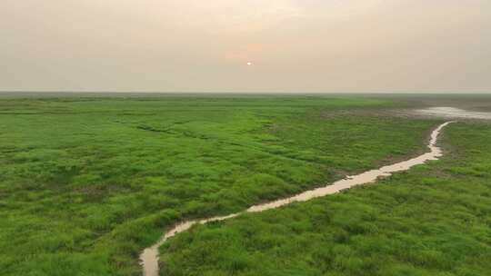 鄱阳湖风景航拍湖泊湿地公园草地河流风光