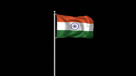 印度国旗视频素材模板下载