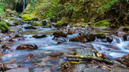 【延时】山林里的小河流水