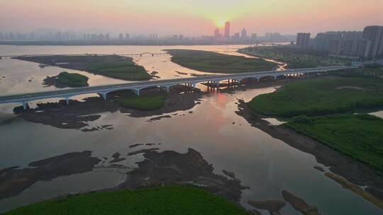 航拍厦门下潭尾湿地公园景观