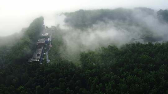 大雾中的天然森林