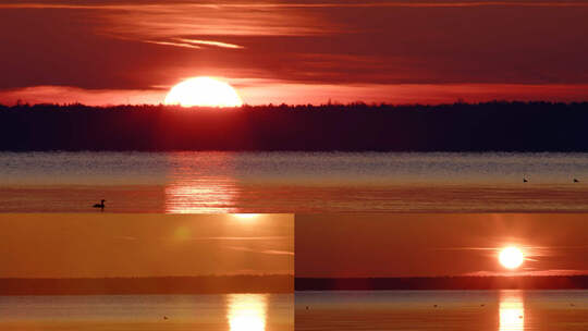 湖泊日出森林日出波光粼粼的湖面太阳光镜面