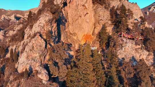 青海互助天门寺高山树木航拍视频