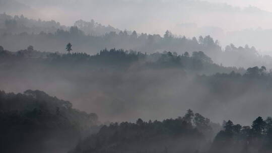 清晨的山林云雾山水画视频素材模板下载