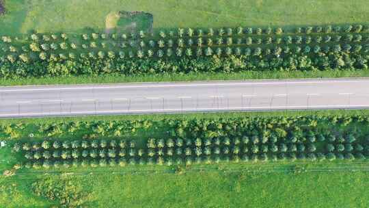 【航拍】草原天路  草原公路上行驶的汽车