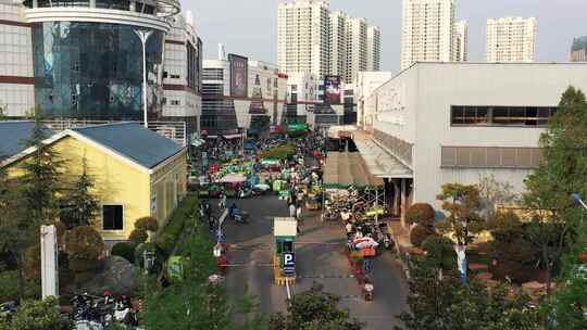 昆明斗南花卉交易市场航拍视频素材模板下载