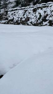 雪景 踏雪进山 雪中行 大雪