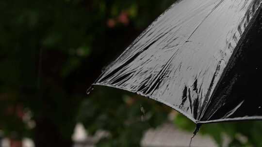 雨天屋檐下雨雨水惊蛰禅意古风清明大暑