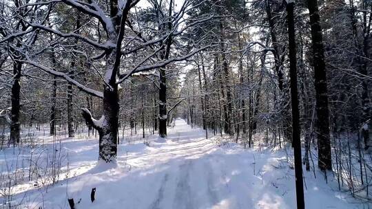 4K冬日冬季滑雪雪景雪山树林湖面云彩海面