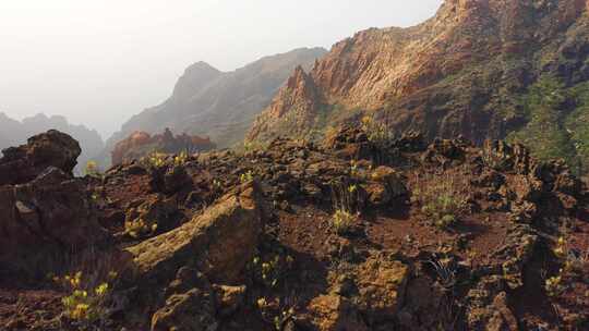 特内里费岛，山，草，岩石