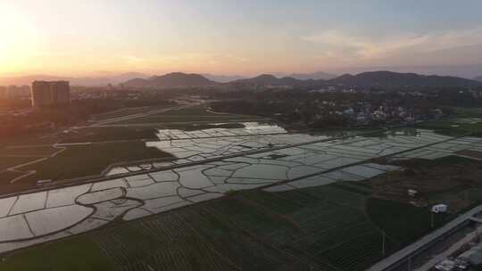 海南农田航拍