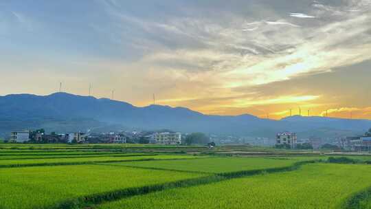 乡村稻田日落延时