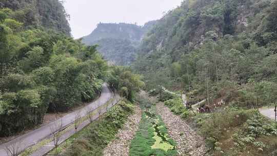 山林间的小路与溪流景观