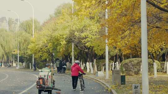 环卫工人在对树叶进行吹扫作业金黄树叶秋天