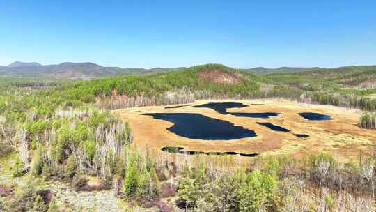 内蒙古达尔滨湖火山熔岩台地湿地水泡