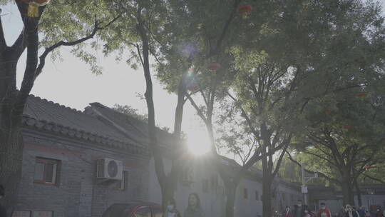 胡同秋天 北京人文生活