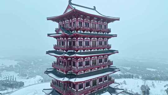 航拍牡丹博物馆雪景