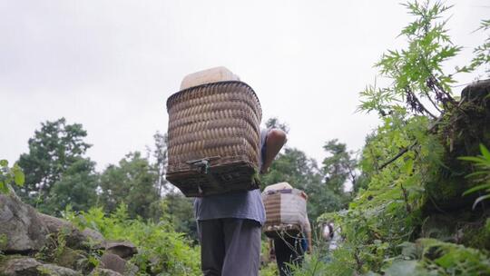 缺水干旱背水