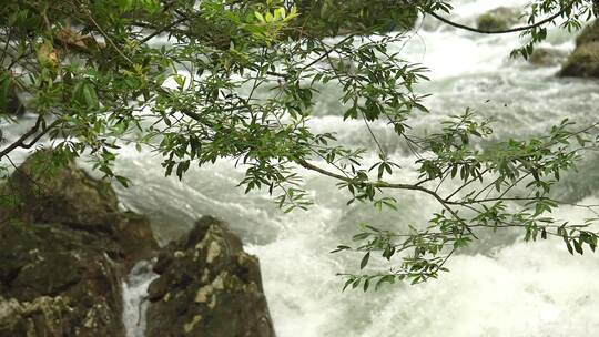 河流水流水生态水源自然水资源