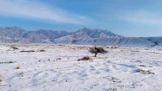 【合集】贺兰山雪景 贺兰山西麓雪景