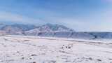 【合集】贺兰山雪景 贺兰山西麓雪景高清在线视频素材下载