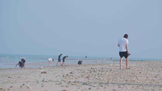 沙滩上捡贝壳的人